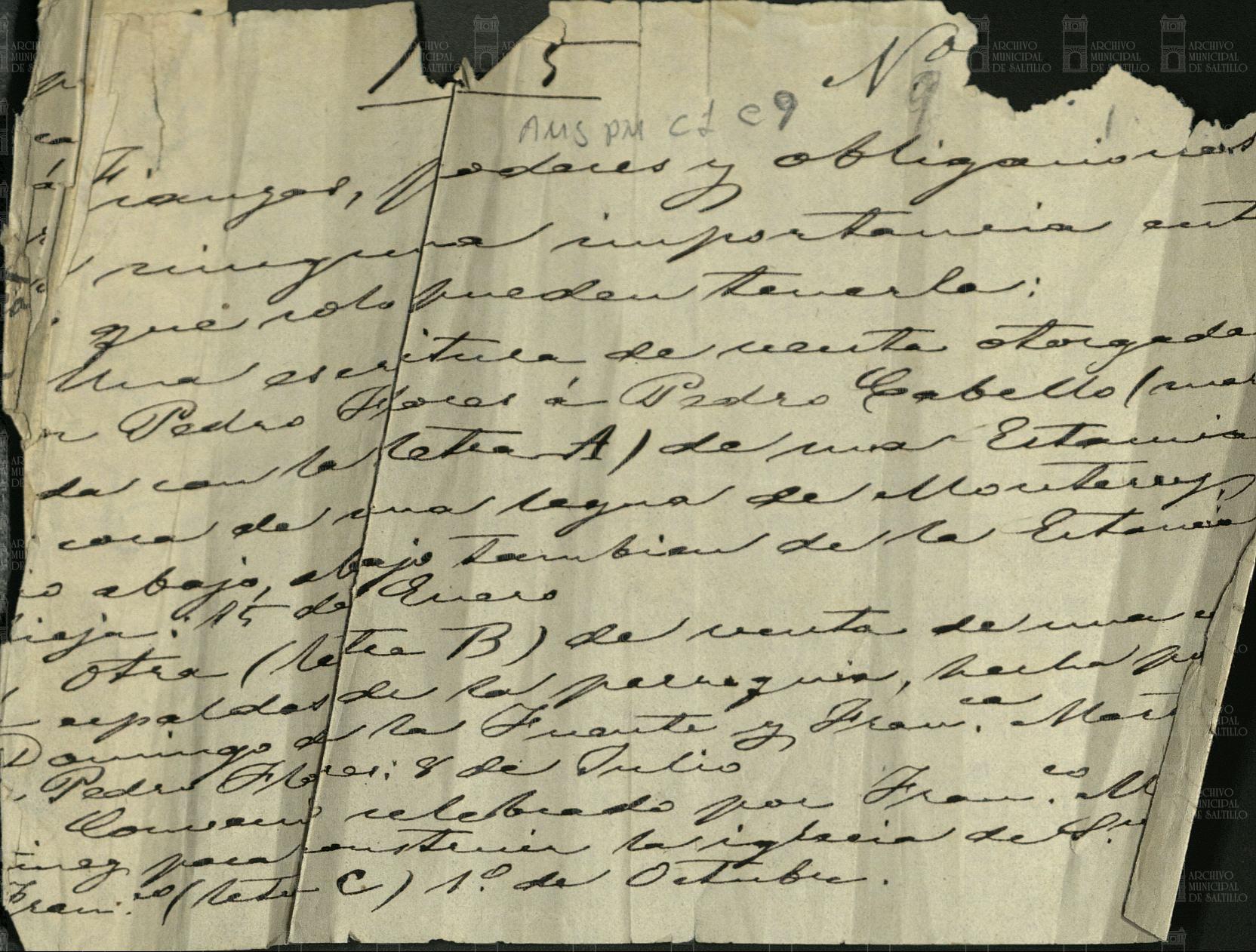 Pedro Flores transfiere la tutela de los menores Tomás y Francisco a su hermano mayor Lorenzo García (ficha AMS PM c. 1, e. 9, d. 1) — imagen 1